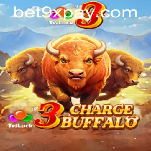 bet9x Casino App